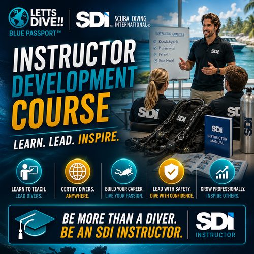 SDI Instructor Development Course