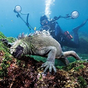 Galapagos - July 26, 2027