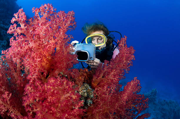 Underwater Photographer