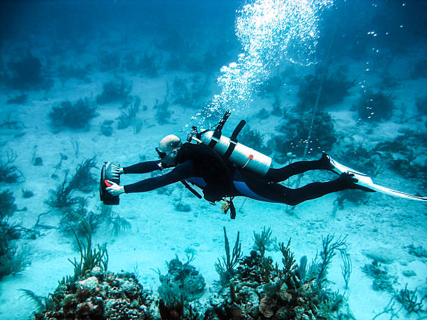 Diver Propulsion Vehicle