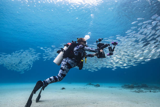 Underwater Videographer