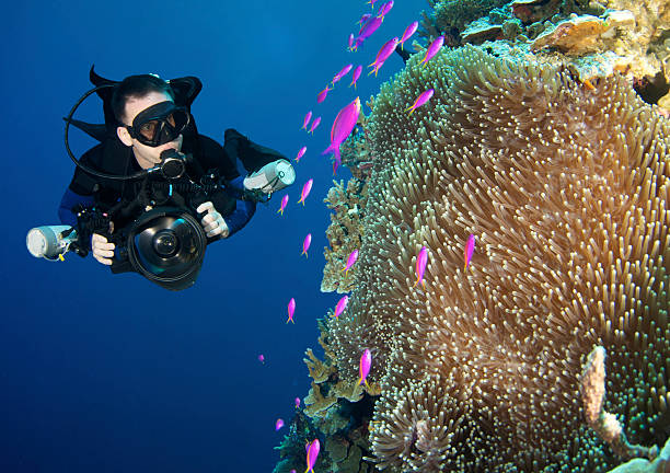 Digital UW Photographer