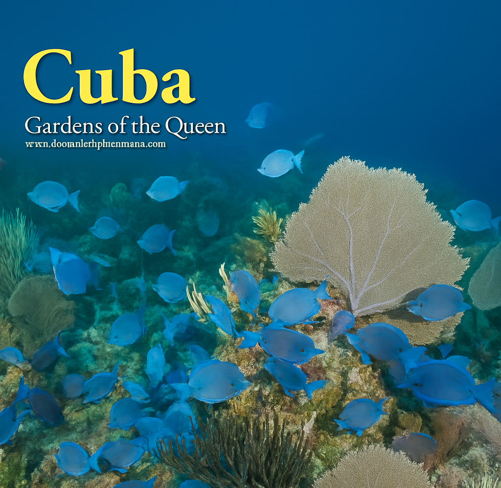 Cuba - Gardens of the Queen - Aug 2027