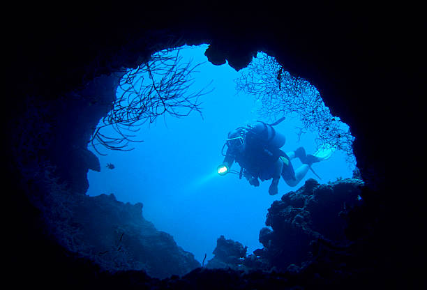 Cavern Diver