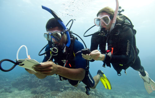 Underwater Navigator