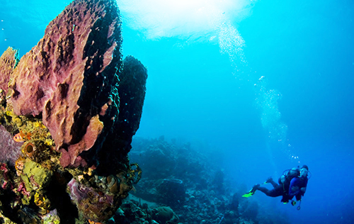 Dominica - June 2026