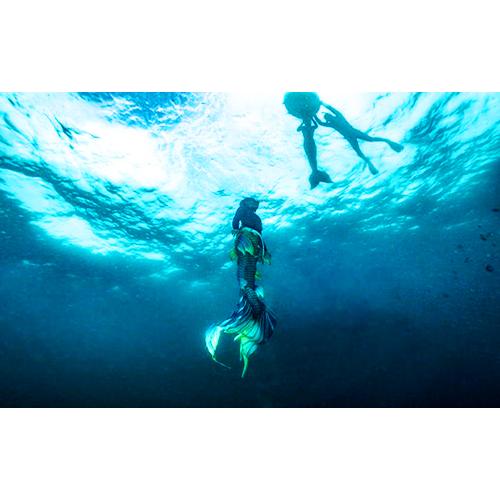 Mermaid & Advanced Mermaid Combo