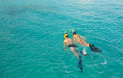 Snorkeling Snorkeling
