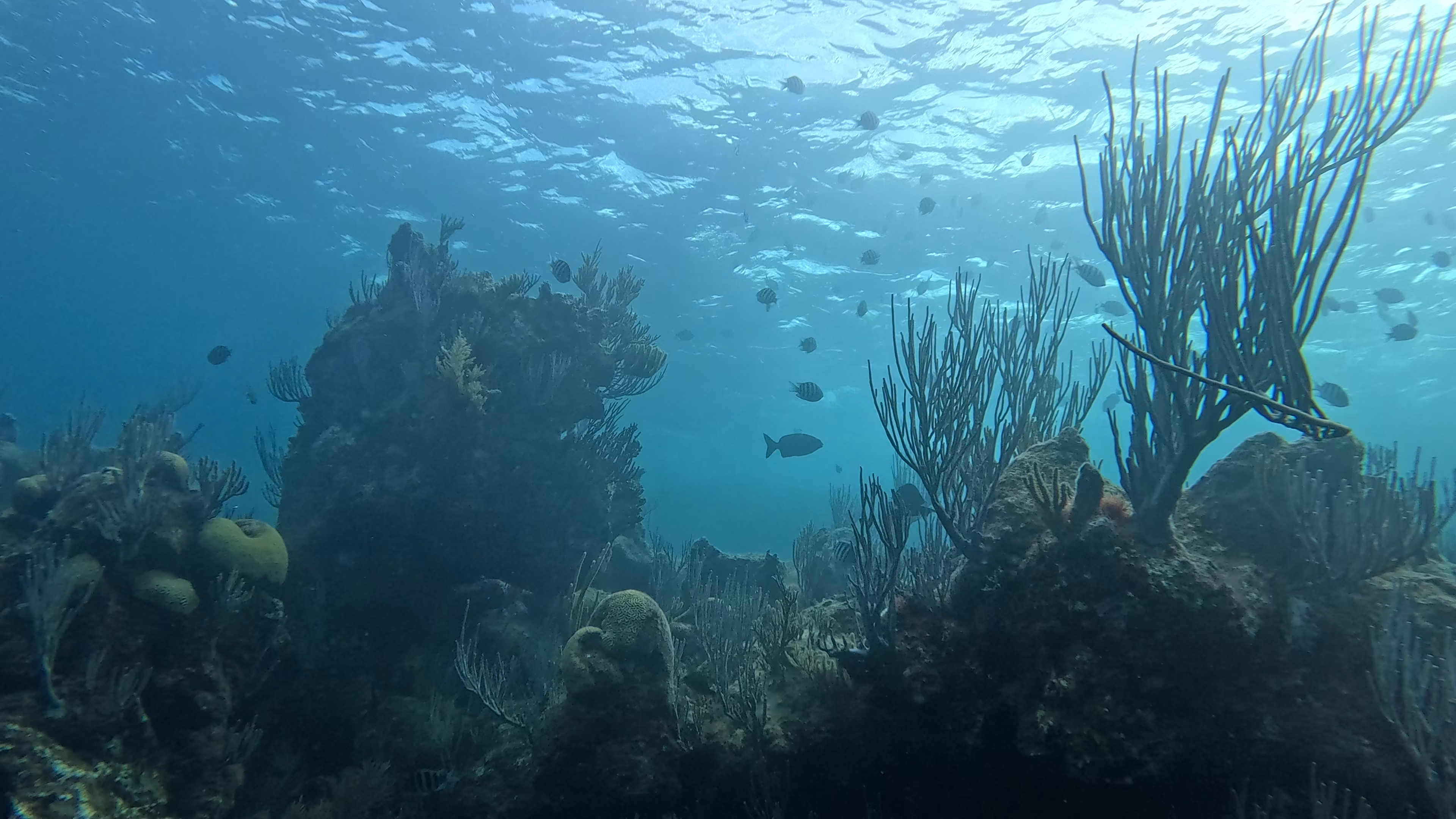 Bermuda Wreck Diving Adventure