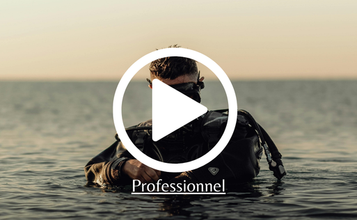 Professionnel (Divemaster & instructeur)