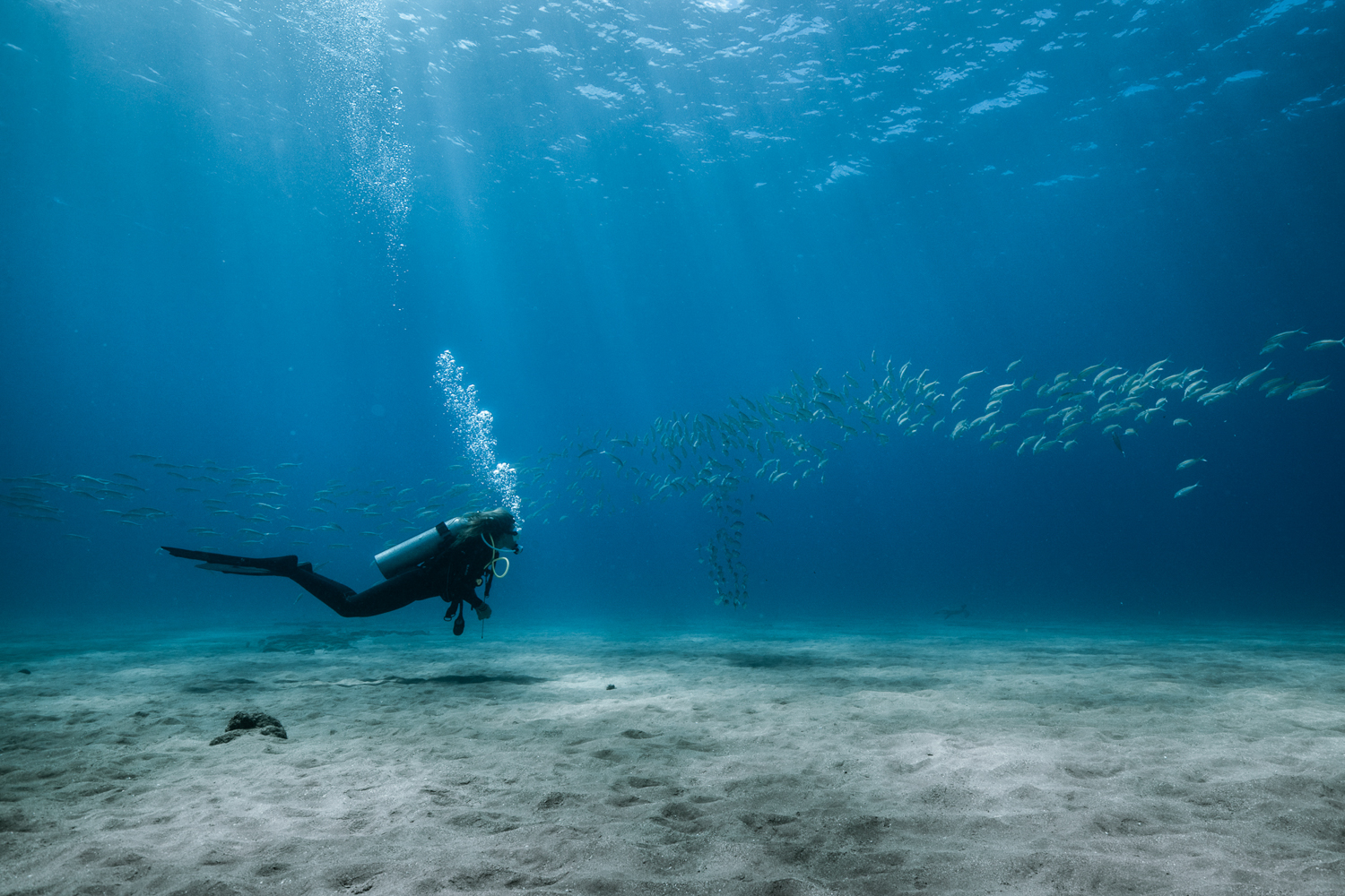 Atelier DSMB/palmage Atelier DSMB/palmage