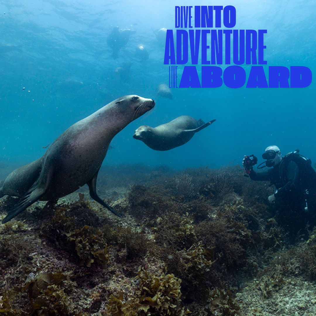 Sea of Cortez July 3rd-12th 2026