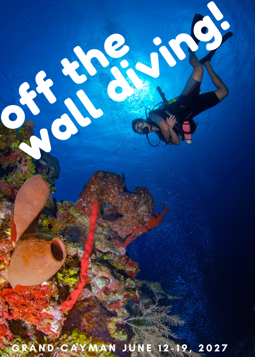 Grand Cayman June 12th - 19th, 2027