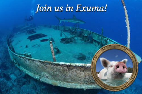 Bahamas Feb 13-20, 2027