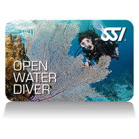 Open Water Diver Certification