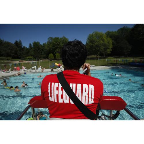 Lifeguard Review