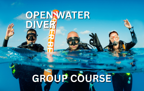 OPEN WATER DIVER