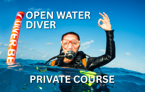 Open Water Diver (Private)