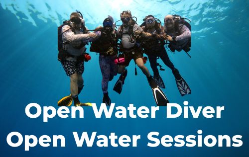 Open Water Diver- Open Water Sessions