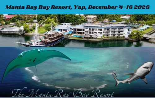 Manta Ray Bay Resort, Yap