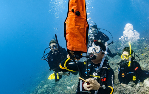 Delayed Surface Marker Buoy (DSMB) Diver