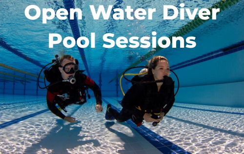 Open Water Diver- Pool Sessions