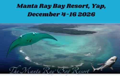 Manta Ray Bay Resort, Yap