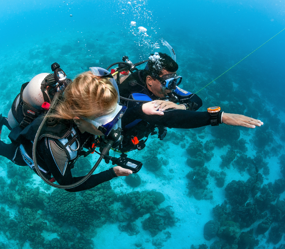 UNDERWATER NAVIGATOR