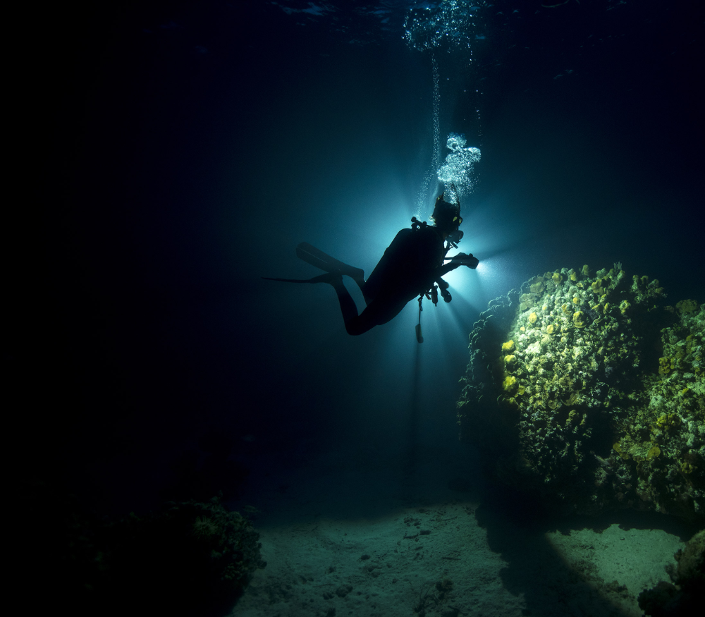 NIGHT DIVER