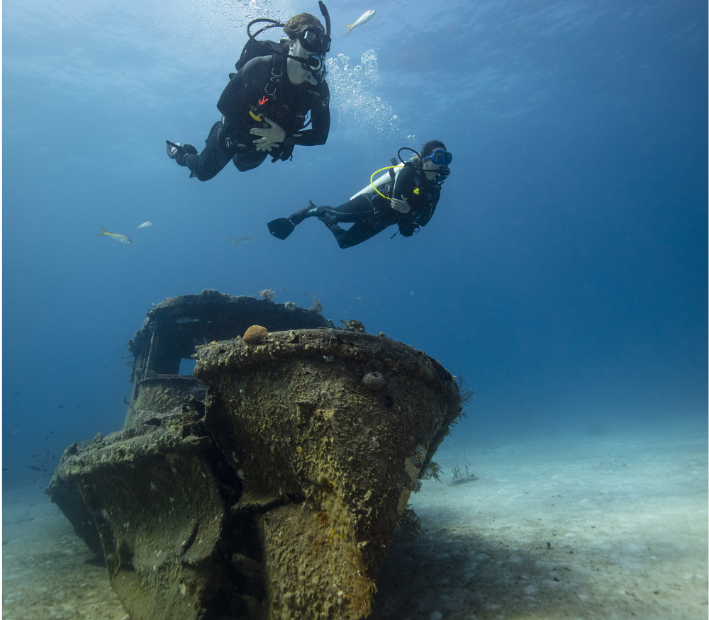 MASTER SCUBA DIVER