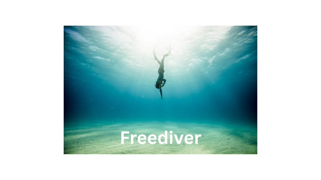 PADI FREEDIVER COURSES
