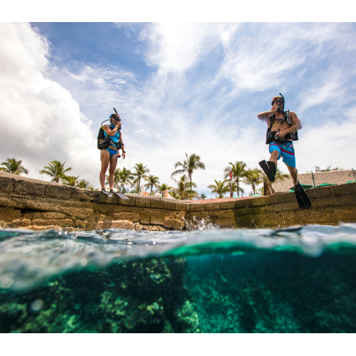 REFRESH YOUR DIVING