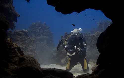 UNDERWATER VIDEOGRAPHER