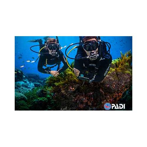 PADI Open Water (Part 1 & 2) Pool & E-Learning