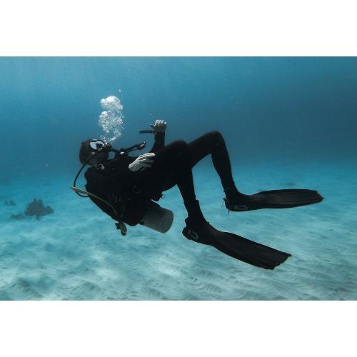 BSAC Skill Development Courses London