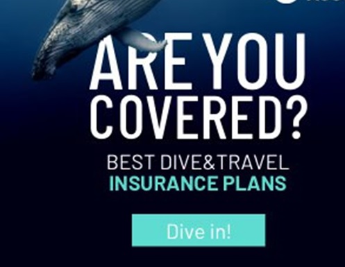 Insurance
