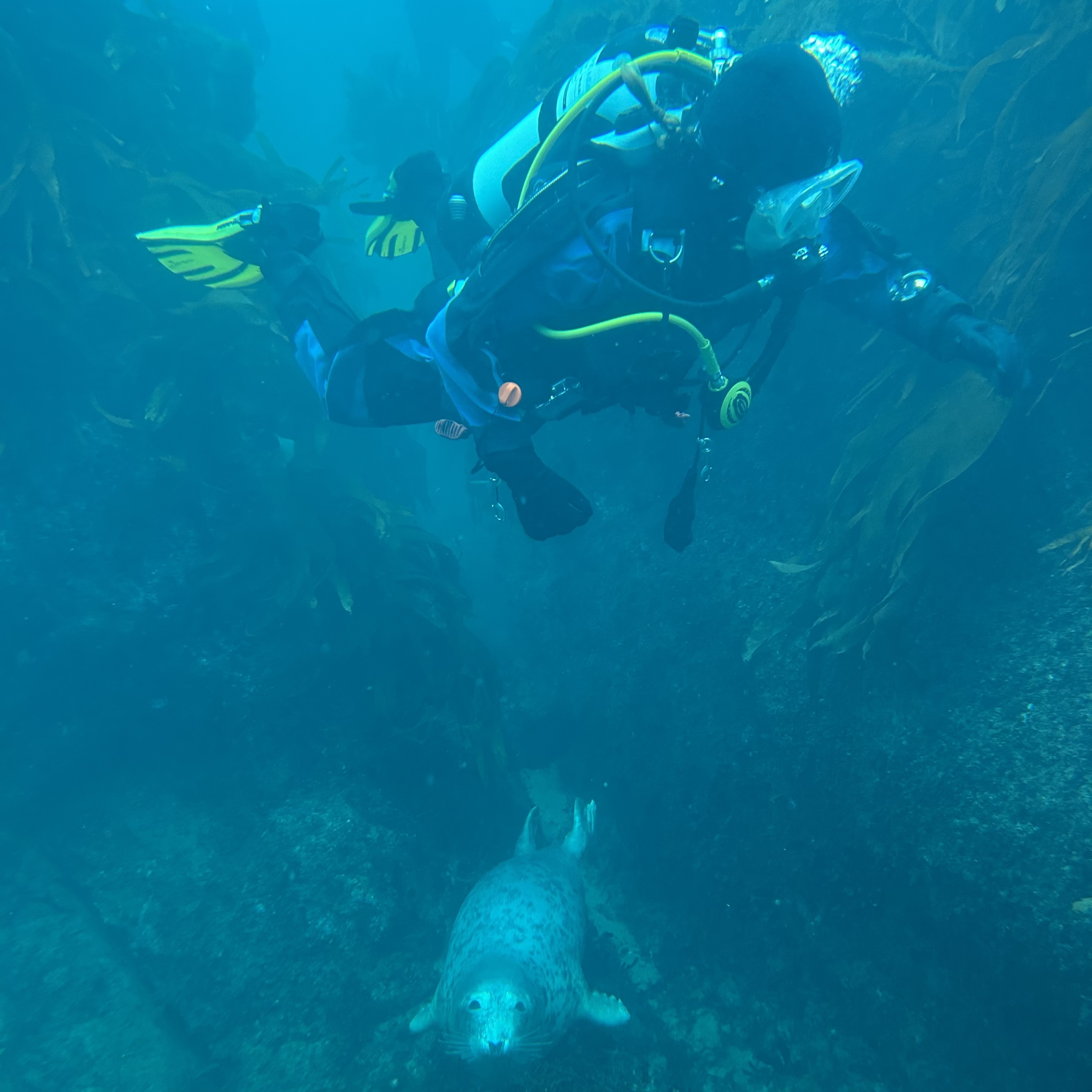 Lundy Junior Dive Club Trip