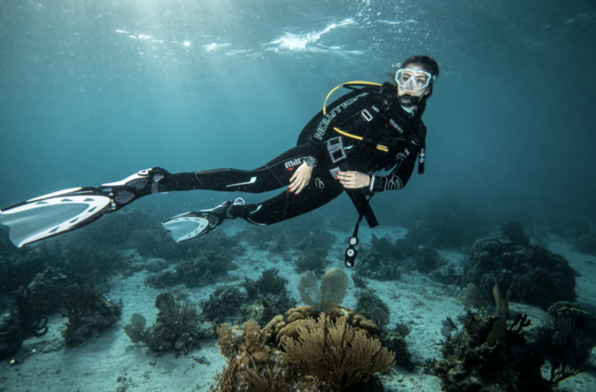 SSI Open Water Referral (Primary) SSI Open Water Referral (Primary)