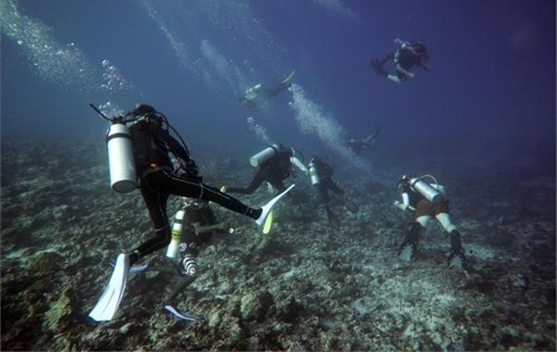 Drift Diver