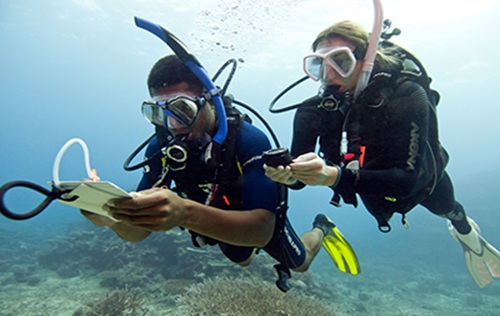 Underwater Navigator