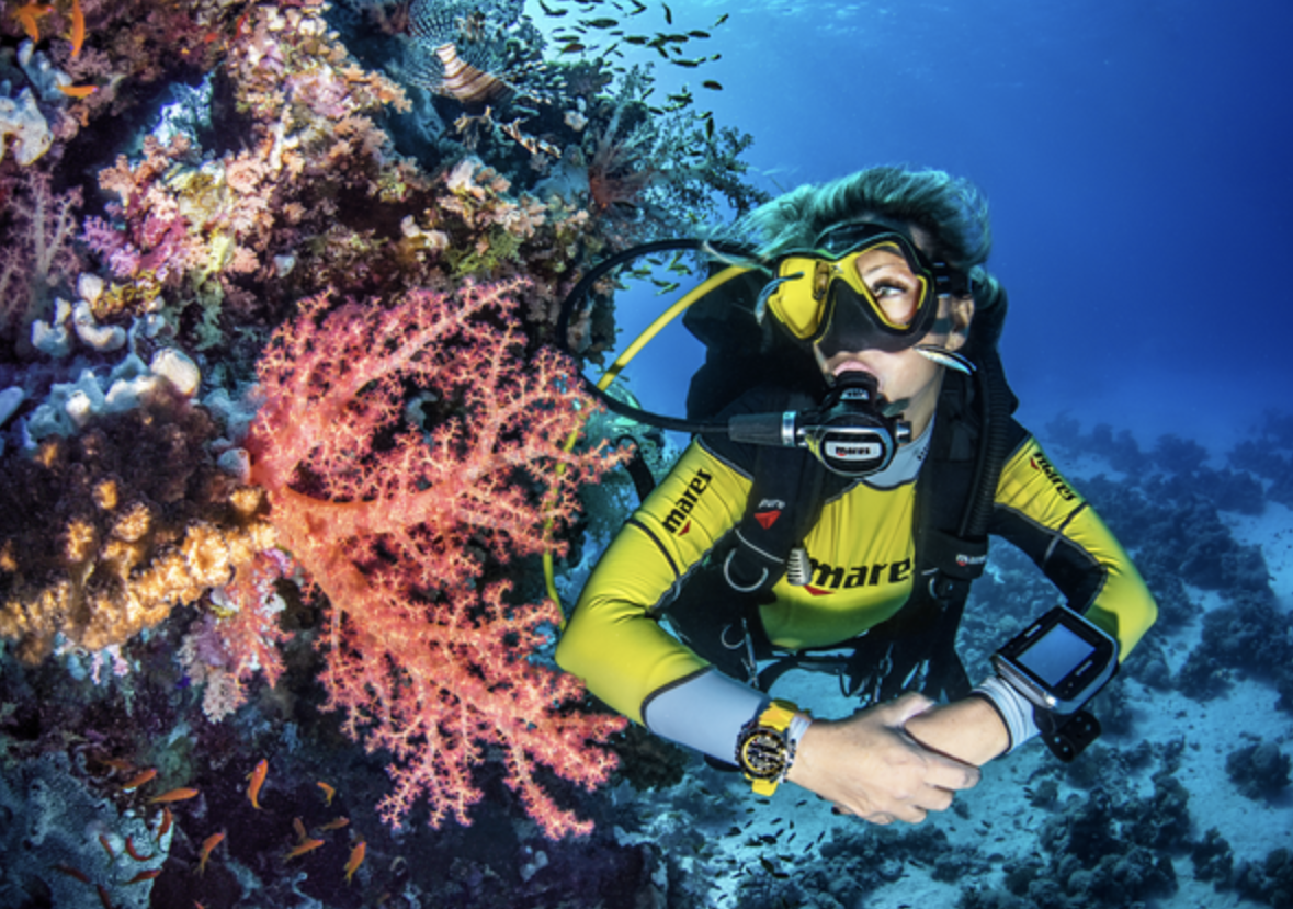 Certification Step 3 (Open Water Checkout Dives)