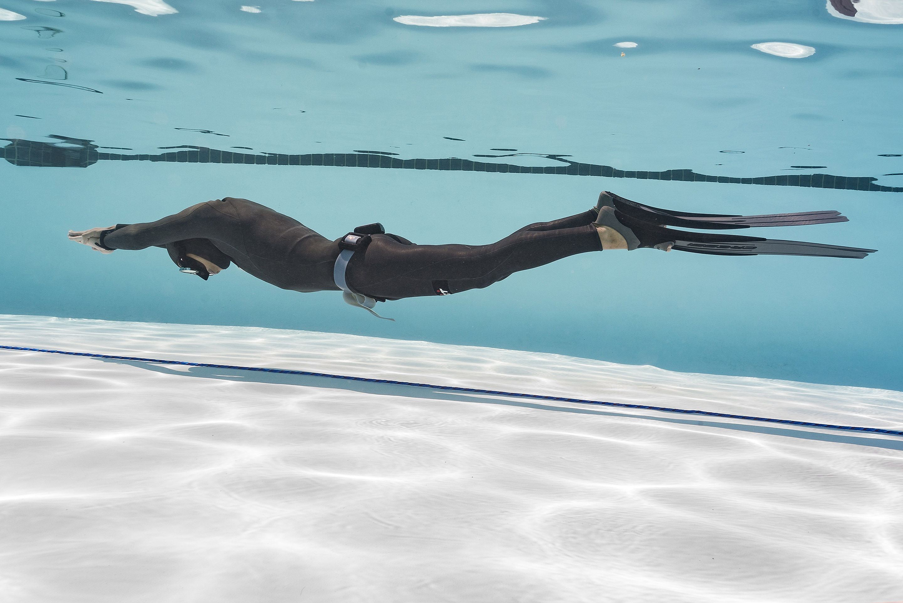 PADI Basic Freediver PADI Basic Freediver