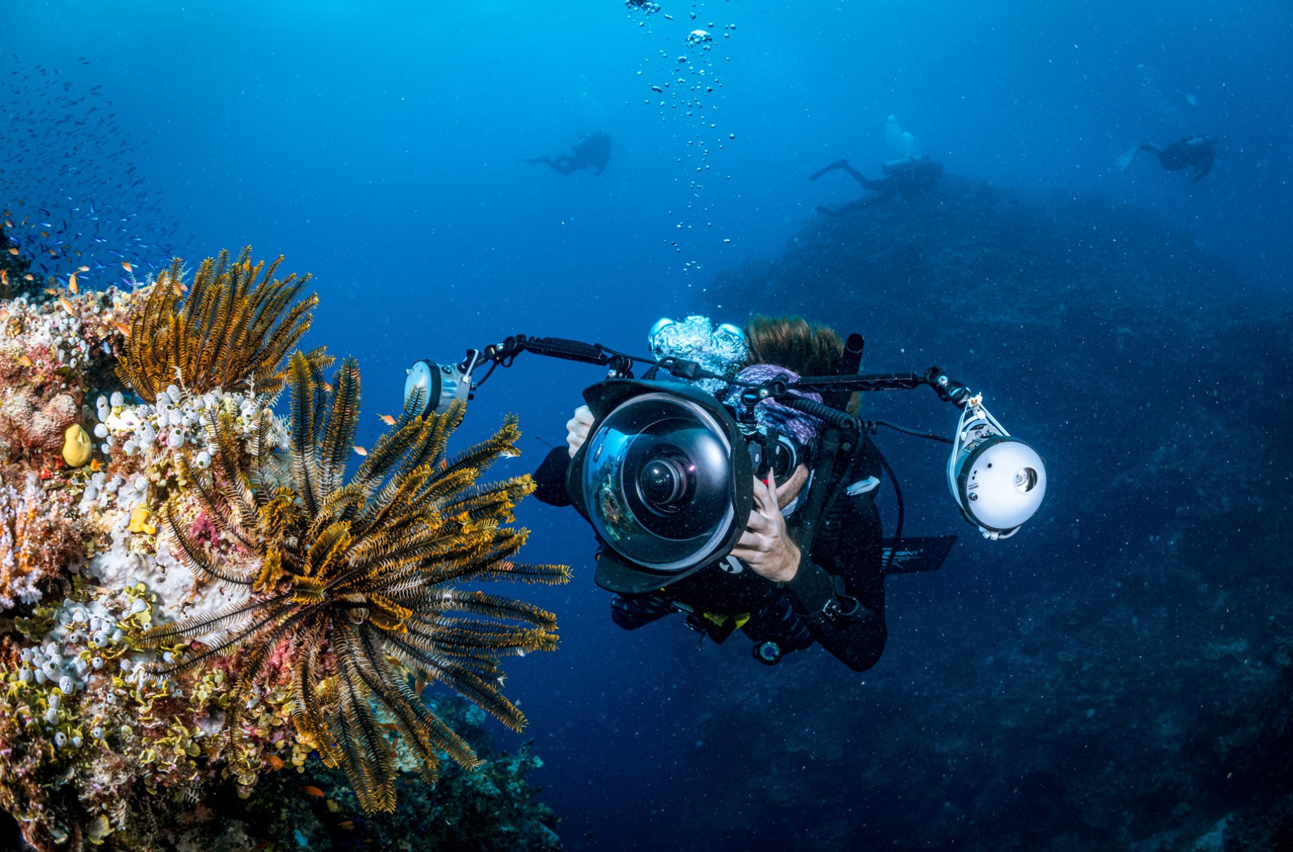 PADI Digital Underwater Photographer PADI Digital Underwater Photographer