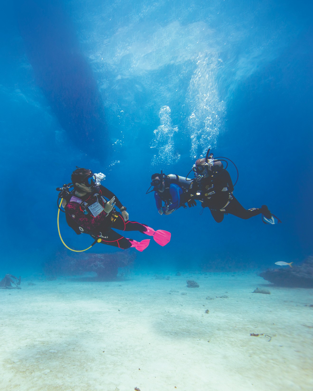 PADI Master Instructor Rating