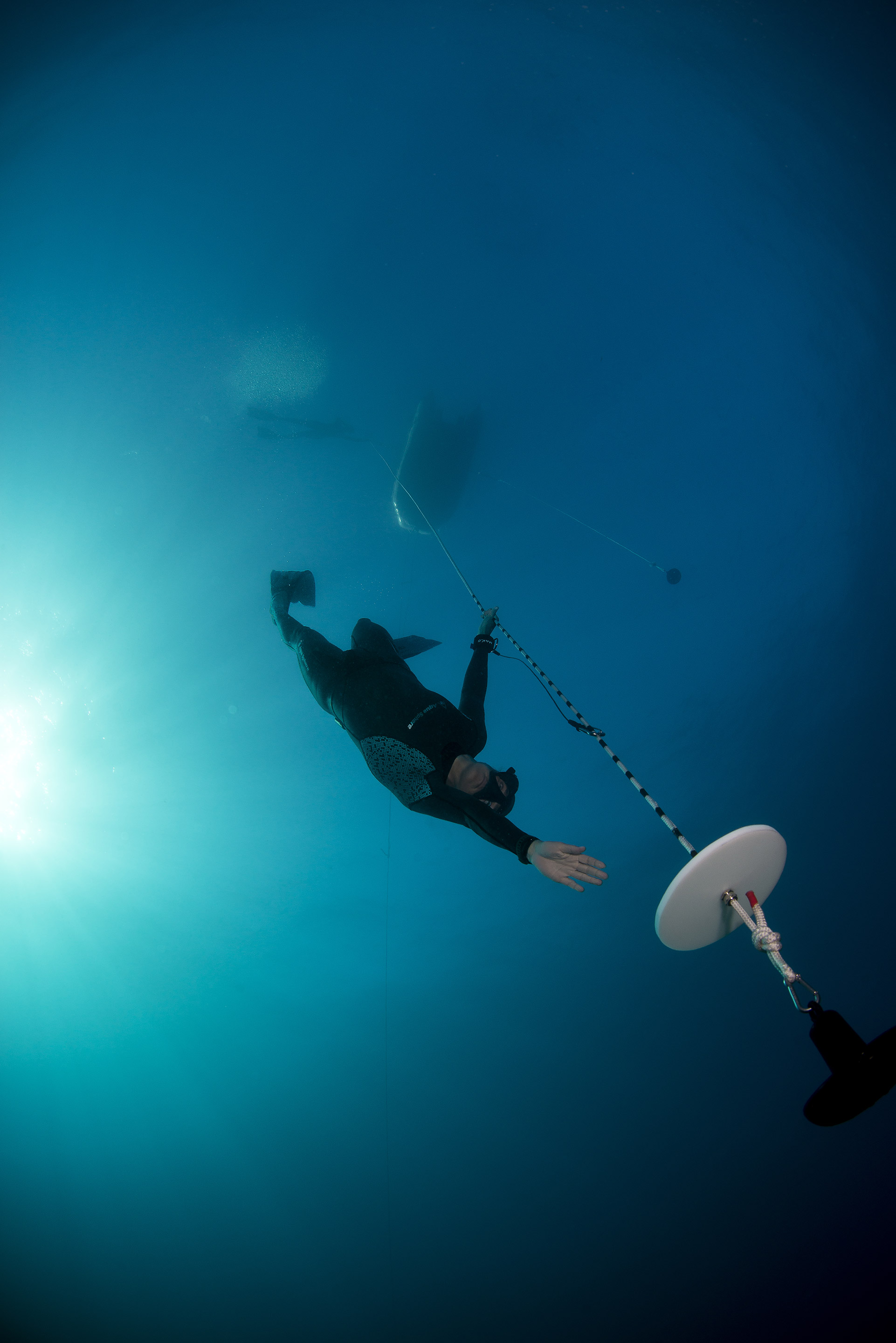 PADI Freediver PADI Freediver