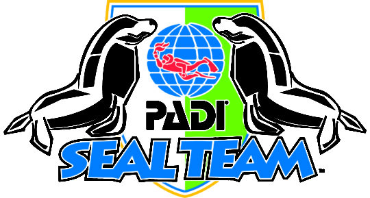 Seal Team for Kids