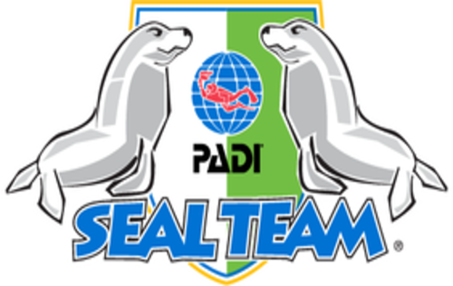 Seal Team for Kids Seal Team for Kids