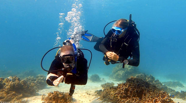 Open Water Referral 4 DIVES