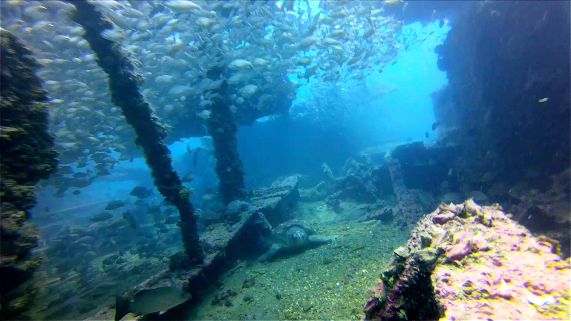 Sheridan and BlackThorn Wreck for a 2 Tank Deep Dive