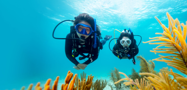 Open Water Referral  2 DIVES
